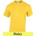 2000 daisy